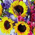 Waitrose Florist Offers